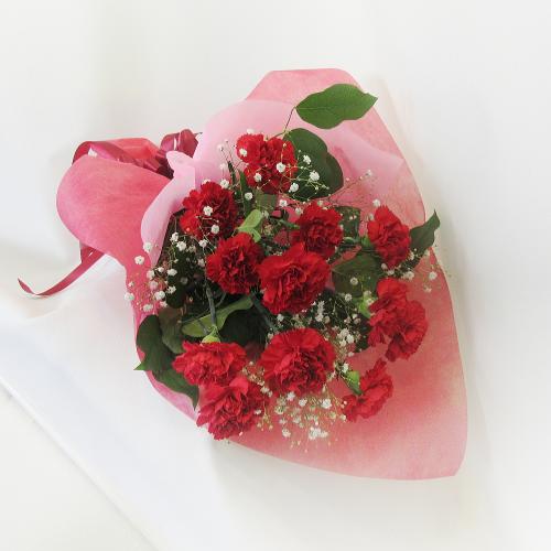 母の日プレゼントにオススメ 赤カーネーションを束ねた A Dozen Carnation 12本のカーネーションの花束