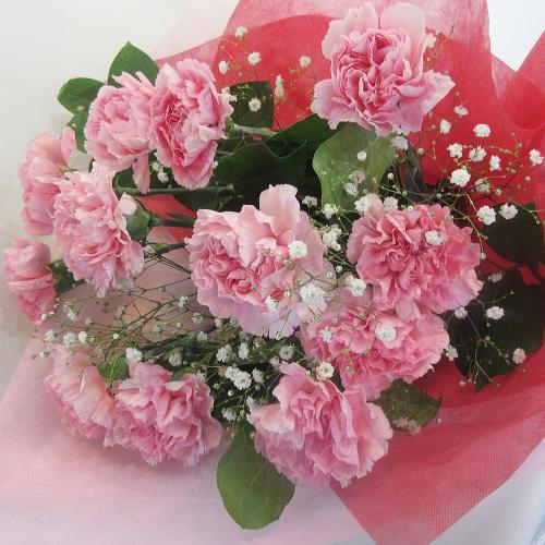 母の日プレゼントにオススメ 赤カーネーションを束ねた A Dozen Carnation 12本のカーネーションの花束 母の日プレゼントにオススメ 赤カーネーションを束ねた A Dozen Carnation 12本のカーネーションの花束