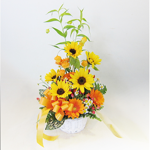 プレゼントにオススメ「サンダ-ソニア」のアレンジメント「信頼の光」