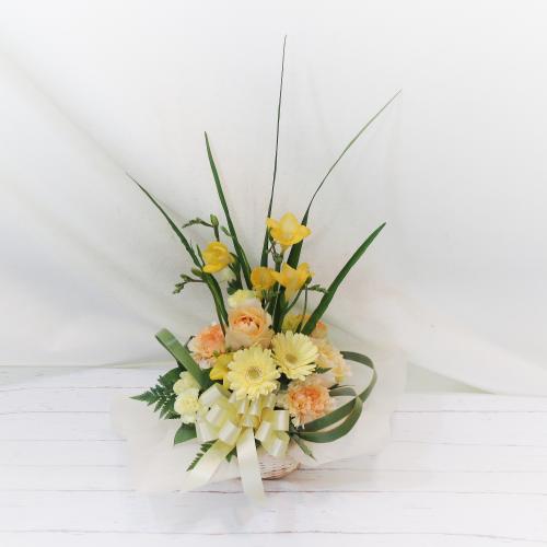 ナチュラルな雰囲気の フリージア 香りも楽しめるお花としても人気 卒業 送別会などにもオススメ