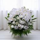 胡蝶蘭をあしらったお供え花アレンジメント