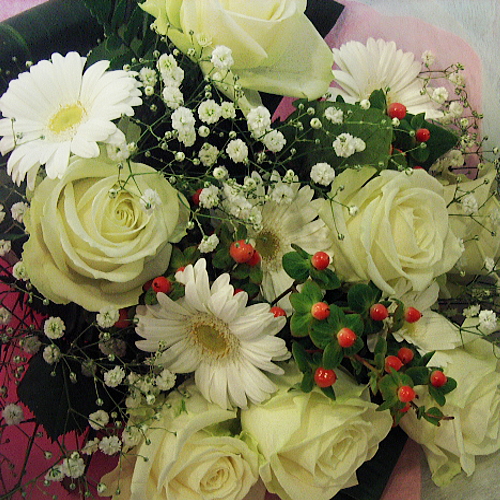 プロポーズのプレゼントにオススメ薔薇の花束 ホワイトカラーの薔薇 ガーベラをあしらった花束