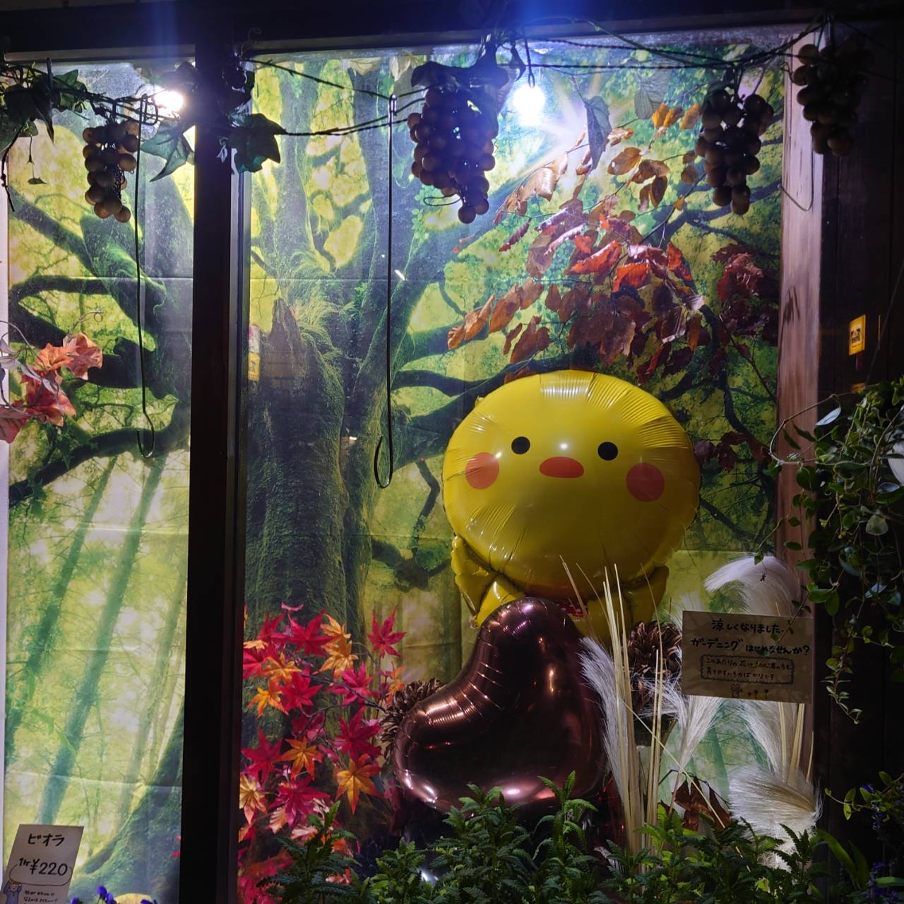 11月ディスプレイ