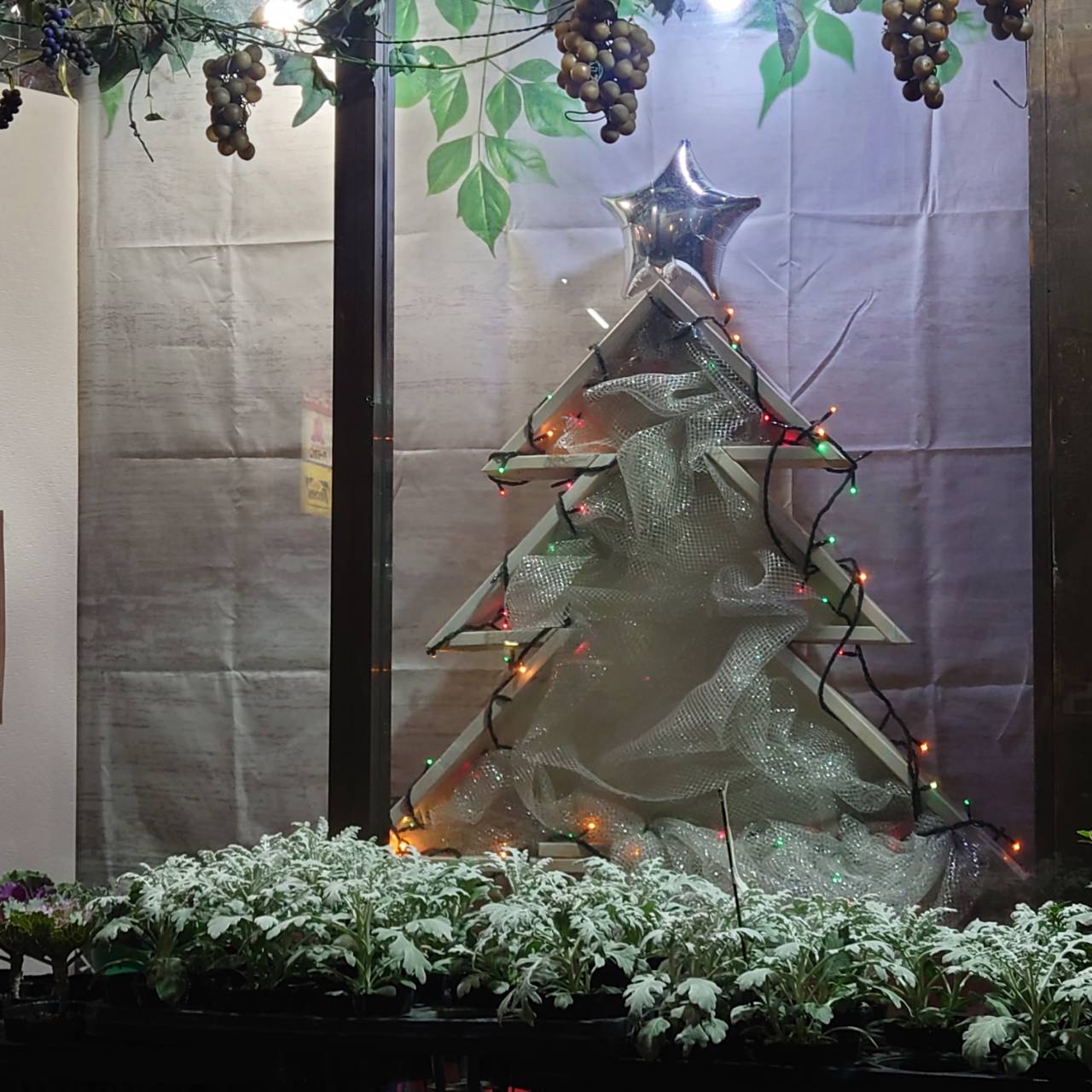 12月ディスプレイ