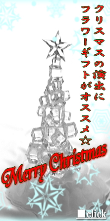 クリスマスプレゼントにオススメ!!
