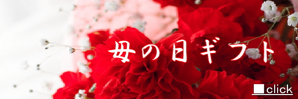 かすみ草 霞草には 清心 無邪気 感謝 の花言葉を持っています 歓送迎会の贈り物としてもオススメ花束ブーケ かすみ草 霞草には 清心 無邪気 感謝 の花言葉を持っています 歓送迎会の贈り物としてもオススメ花束ブーケ