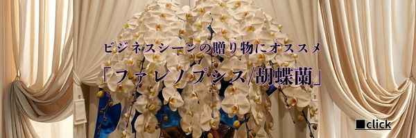 オススメ!!サマーフラワーギフト!!開店祝い・結婚祝い・誕生日のプレゼントにオススメ